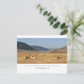 フィールドはがきを取り込む ポストカード (スタンド正面)