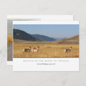 フィールドはがきを取り込む ポストカード (正面/裏面)