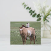 フィールドはがき内の馬 ポストカード (スタンド正面)