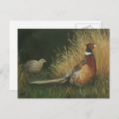 フィールドアートはがき内のキジ ポストカード (正面/裏面)