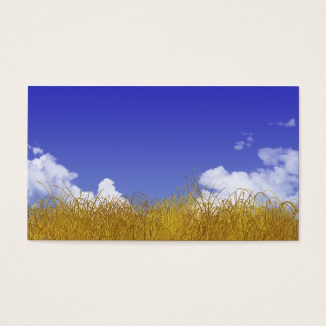 フィールドカード (正面)