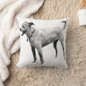 フィールドサイドエネルギー クッション (ブランケット)