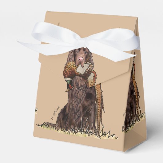 フィールドスパニエル犬キジ フェイバーボックス (正面サイド)