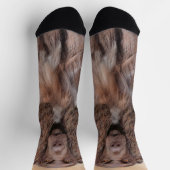 フィールドスパニエル犬絵画ズ – かわいいオリジナルドッグアート ソックス (上部)