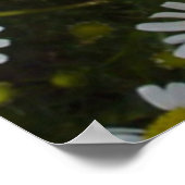 フィールドデイジー – 愛 – 私 – 愛 – 私 – 愛 – 私ではない – 花 ポスター (角)