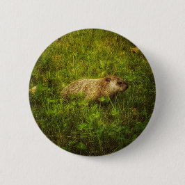 フィールドボタンのGroundhog 缶バッジ