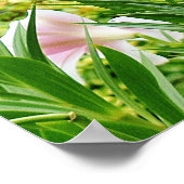 フィールドポスターのユリ ポスター (角)