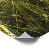 フィールドポスター ポスター (角)