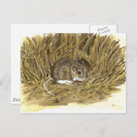 フィールドマウスのポストカード ポストカード (正面/裏面)