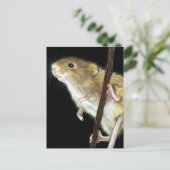 フィールドマウスデザイン ポストカード (スタンド正面)