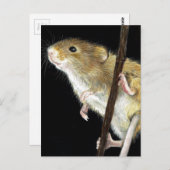 フィールドマウスデザイン ポストカード (正面/裏面)