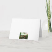 フィールドマッシュルームハッピーバースデー カード (裏面)