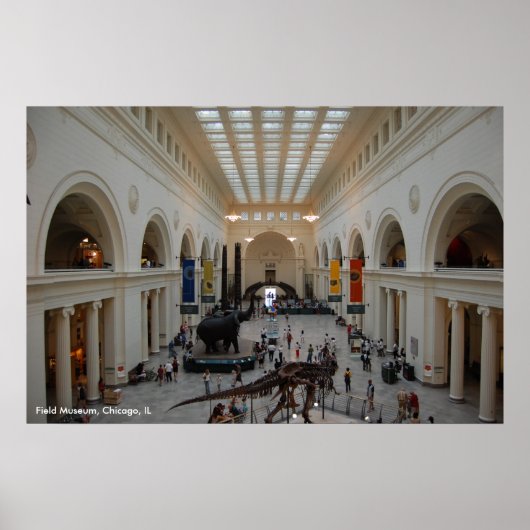 フィールドミュージアムポスター ポスター (正面)