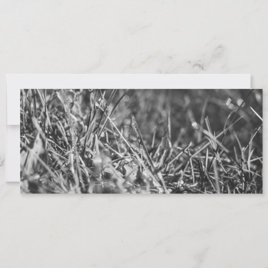 フィールドモダン結婚式招待状 招待状 (裏面)