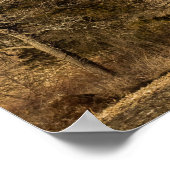 フィールドワーク ポスター (角)