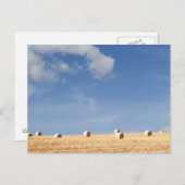 フィールド上のヘイバレス ポストカード (正面/裏面)