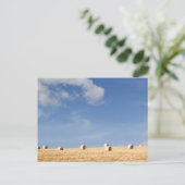 フィールド上のヘイバレス ポストカード (スタンド正面)