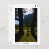 フィールド作業プリント ポストカード (正面/裏面)