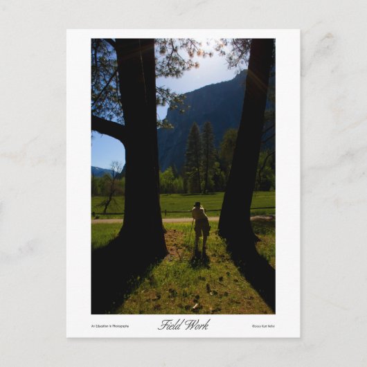 フィールド作業プリント ポストカード (正面)