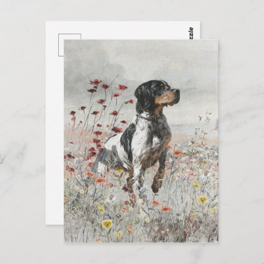 フィールド内のブリタニースパニエル犬狩り ポストカード (正面/裏面)