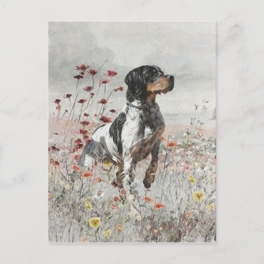 フィールド内のブリタニースパニエル犬狩り ポストカード (正面)