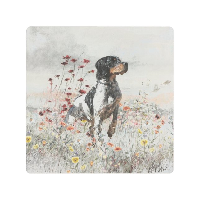 フィールド内のブリタニースパニエル犬狩り メタルプリント (正面)