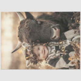 フィールド内の子ハイランド牛を分離 薄葉紙