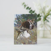 フィールド内の美しいポインタ シーズンポストカード (スタンド正面)