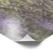 フィールド内の美しいポインタ フォトプリント            (角)