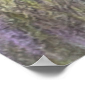 フィールド内の美しいポインタ ポスター (角)