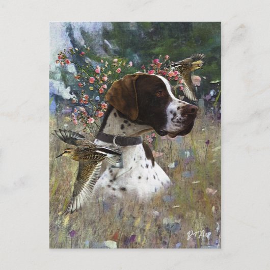 フィールド内の美しいポインタ ポストカード (正面)