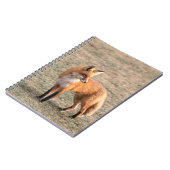 フィールド内の赤いキツネ ノートブック (左側)