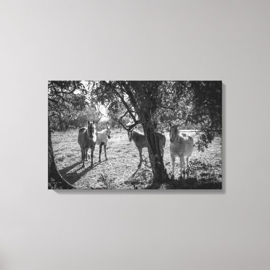 フィールド内の馬 キャンバスプリント (正面)