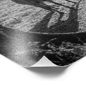 フィールド内の馬 フォトプリント            (角)