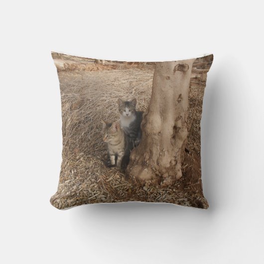フィールド内の2つの甘い猫オリジナル写真アート クッション (正面)