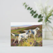 フィールド内の2つの英語セッター – Arthur Wardle ポストカード (スタンド正面)