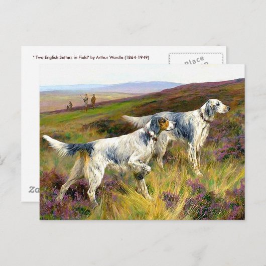 フィールド内の2つの英語セッター – Arthur Wardle ポストカード (正面/裏面)
