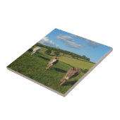 フィールド写真のロバ3 タイル (側面)