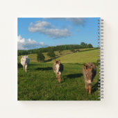 フィールド写真のロバ3 ノートブック (裏面)