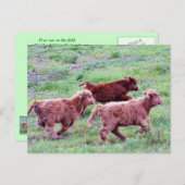 フィールド走上で無料 ポストカード (正面/裏面)