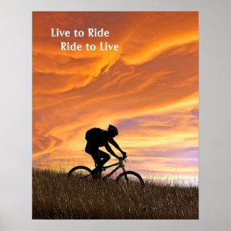 フィールド金ゴールド ポスター