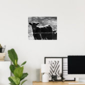 フィールド16x20の白黒牛 ポスター (ホームオフィス)