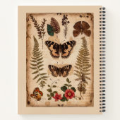 フィールド・ノート自然仕訳バタフライ・ヴィンテージ ノートブック (裏面)