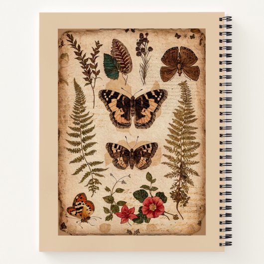 フィールド・ノート自然仕訳バタフライ・ヴィンテージ ノートブック (裏面)
