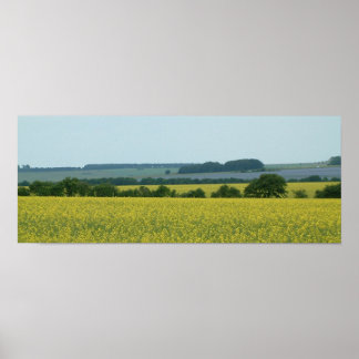 フィールド ポスター