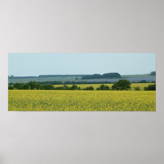 フィールド ポスター (正面)