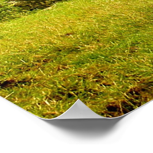 フィールド – ポスター (角)