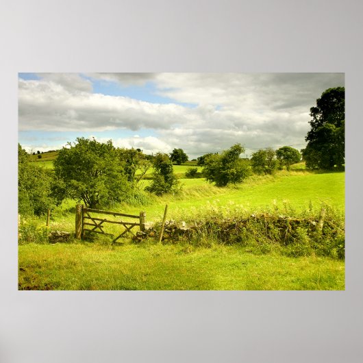 フィールド – ポスター (正面)