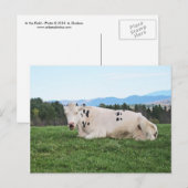 フィールド ポストカード (正面/裏面)