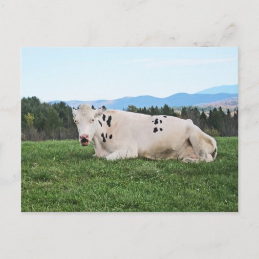 フィールド ポストカード (正面)